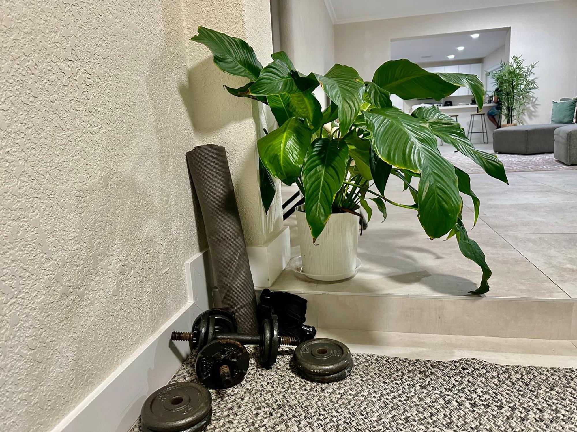 World Connect Miami Vandrehjem Eksteriør billede